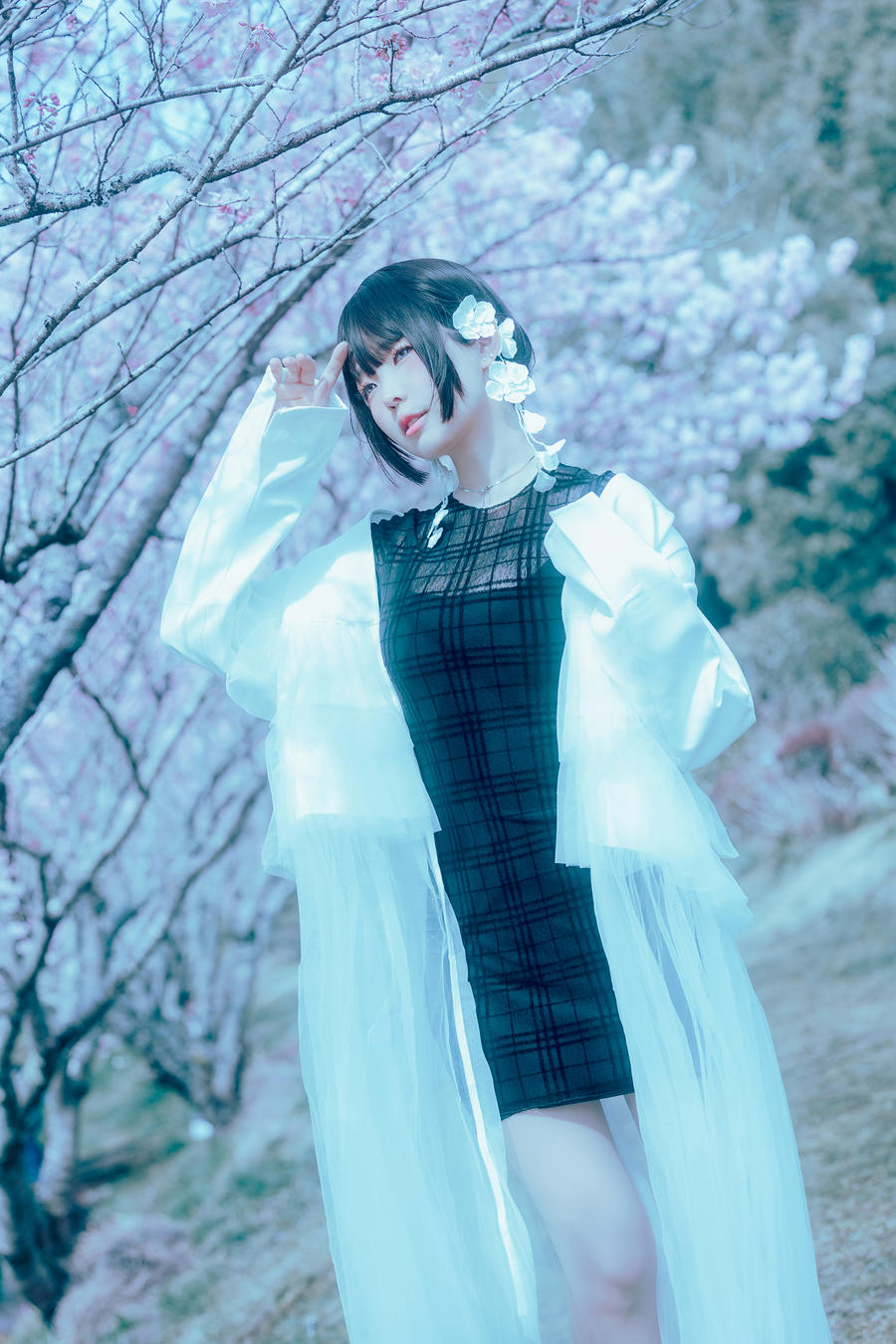 001.jpg