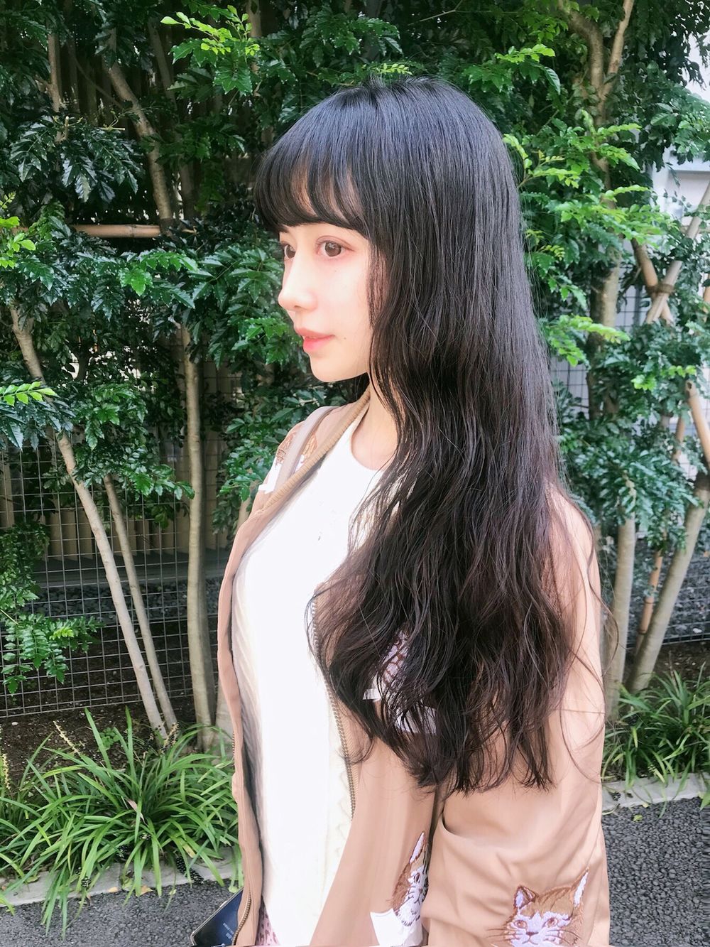 003.jpg